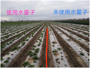 农林保水剂(图10)