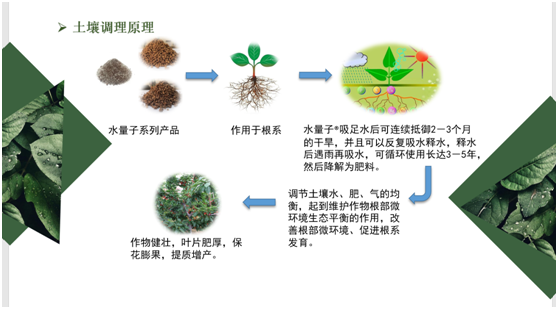 农林保水剂(图2)